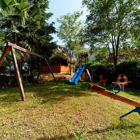 Alberi Del Paradiso