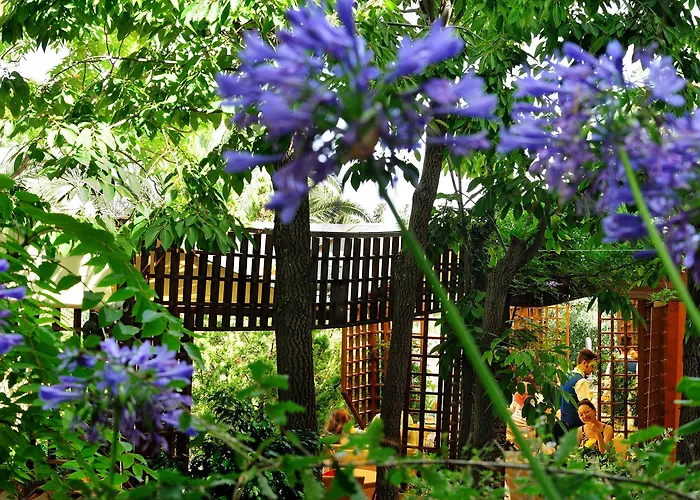 Alberi Del Paradiso Otel 4*