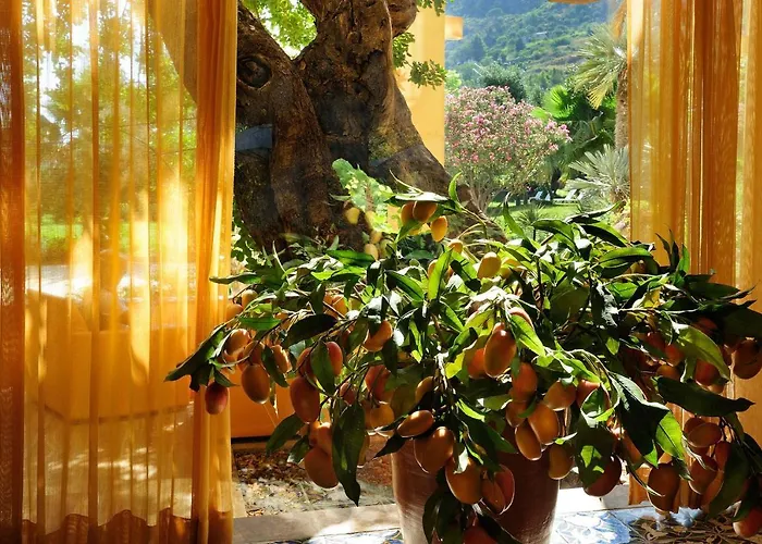 Alberi Del Paradiso 4*