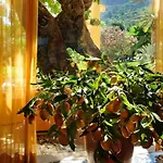 Alberi Del Paradiso 4*