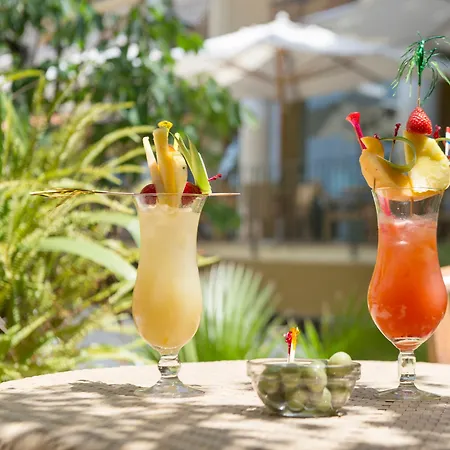 Alberi Del Paradiso Cefalù