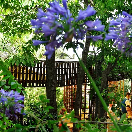 Alberi Del Paradiso Szálloda 4*