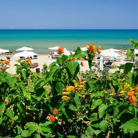 Alberi Del Paradiso Cefalù