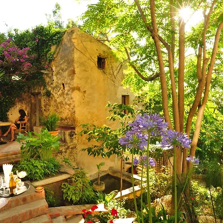 Alberi Del Paradiso