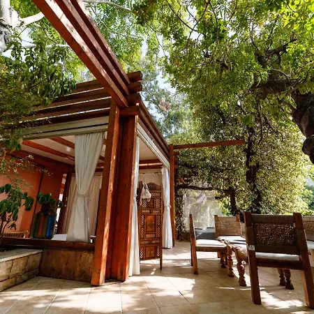 Alberi Del Paradiso 4*