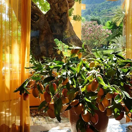 Alberi Del Paradiso 4*