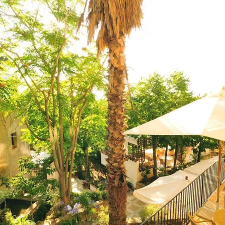 Alberi Del Paradiso