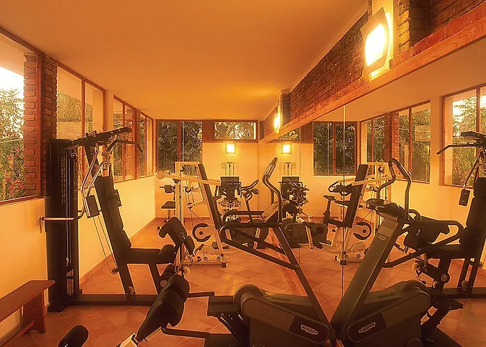 Alberi Del Paradiso 4* 切法卢