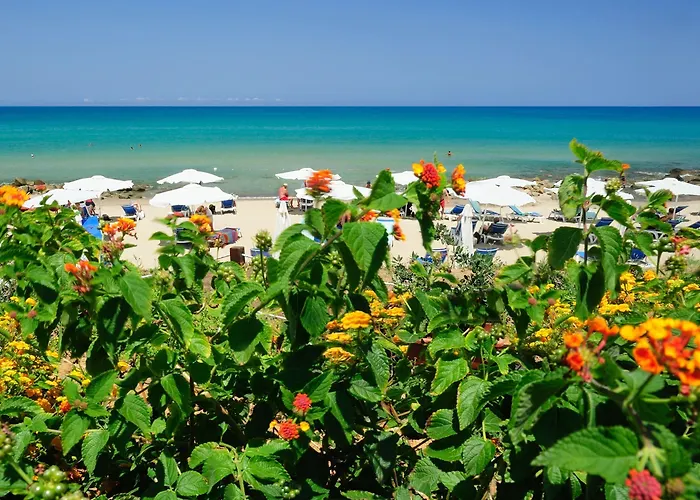 Alberi Del Paradiso Cefalù